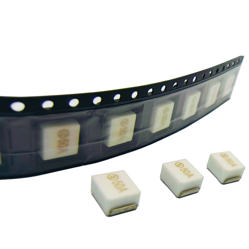 8810T 7.3x5.8x4.2mm Time-Lag Smd Fuse